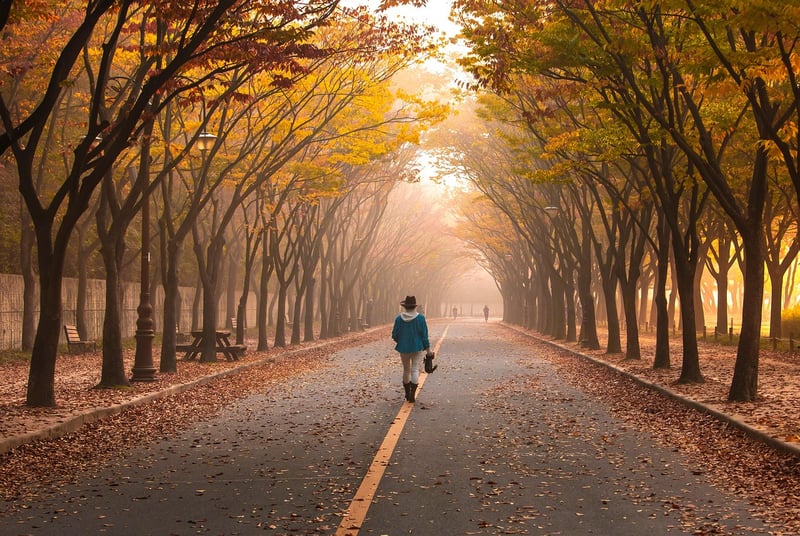 Mindful Walking Retreats